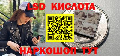 дживик Камышлов