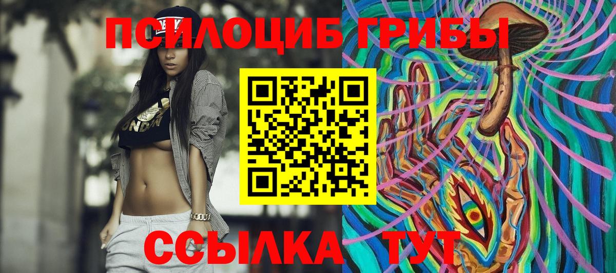 Шарыпово  Псилоцибиновые грибы мухоморы  Вход с VPN 